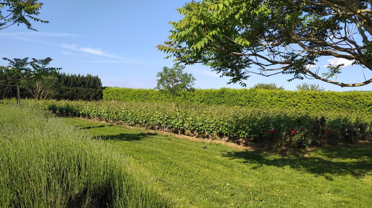 Clos Des Chenevieres, 3 Etoiles Holiday home Comblanchien